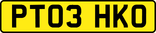 PT03HKO