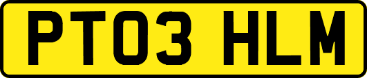 PT03HLM