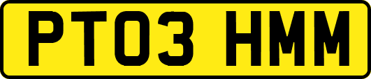 PT03HMM