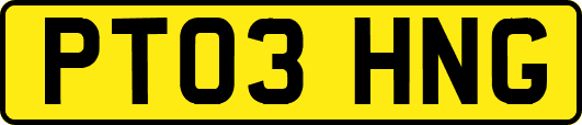 PT03HNG
