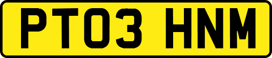 PT03HNM