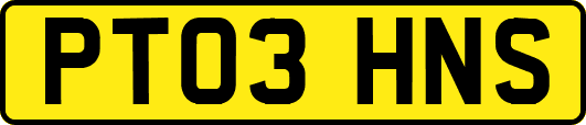 PT03HNS