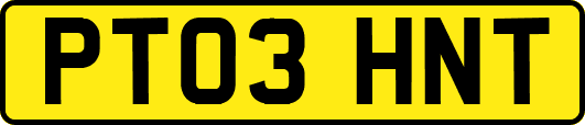 PT03HNT