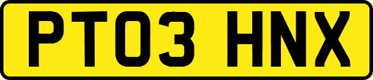 PT03HNX