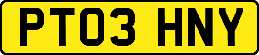 PT03HNY