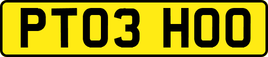 PT03HOO