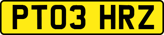PT03HRZ
