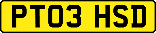 PT03HSD