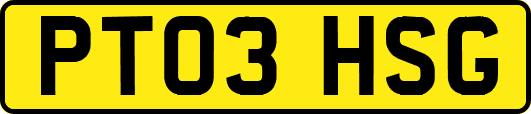 PT03HSG