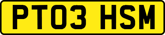 PT03HSM