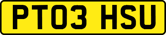 PT03HSU