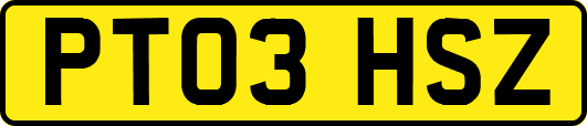 PT03HSZ