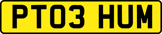 PT03HUM