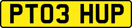 PT03HUP