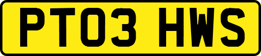 PT03HWS