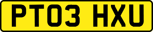 PT03HXU