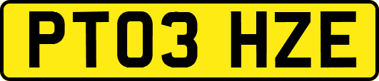 PT03HZE