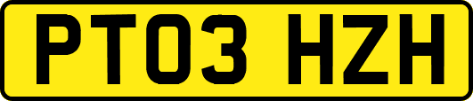 PT03HZH