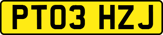 PT03HZJ