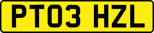 PT03HZL