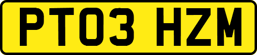PT03HZM