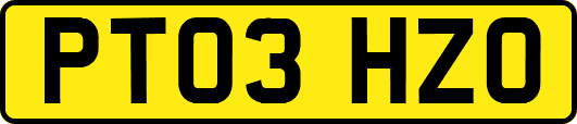 PT03HZO