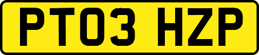PT03HZP