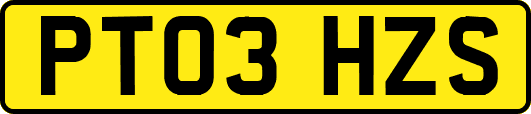 PT03HZS