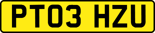 PT03HZU