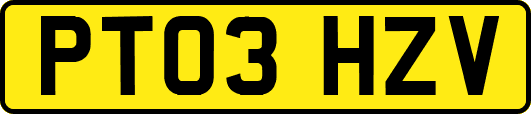 PT03HZV
