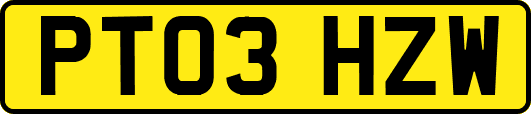 PT03HZW