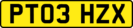 PT03HZX