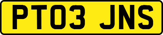 PT03JNS