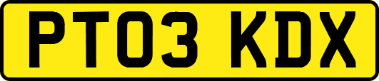 PT03KDX