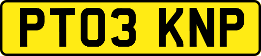 PT03KNP