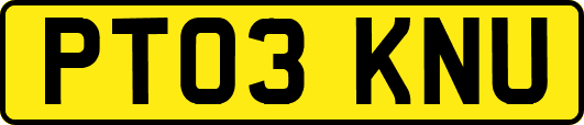 PT03KNU