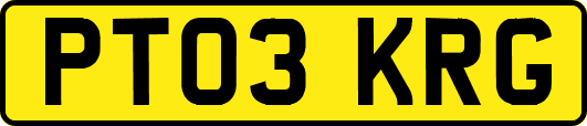 PT03KRG