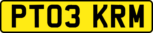 PT03KRM