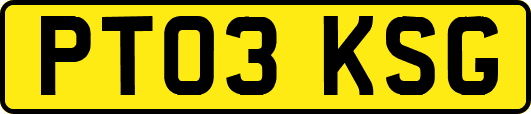 PT03KSG