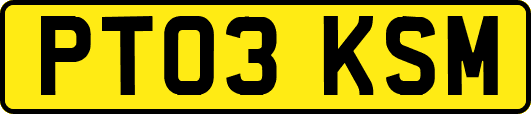 PT03KSM