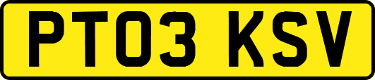 PT03KSV
