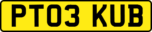 PT03KUB
