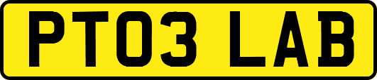 PT03LAB