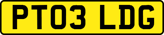 PT03LDG