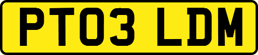 PT03LDM