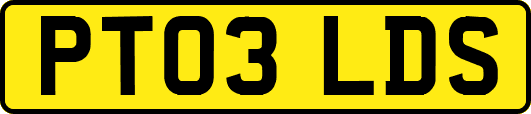 PT03LDS