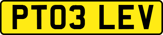 PT03LEV