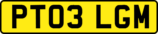 PT03LGM
