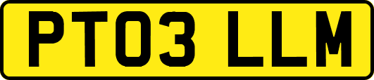 PT03LLM