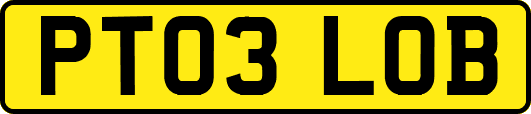 PT03LOB